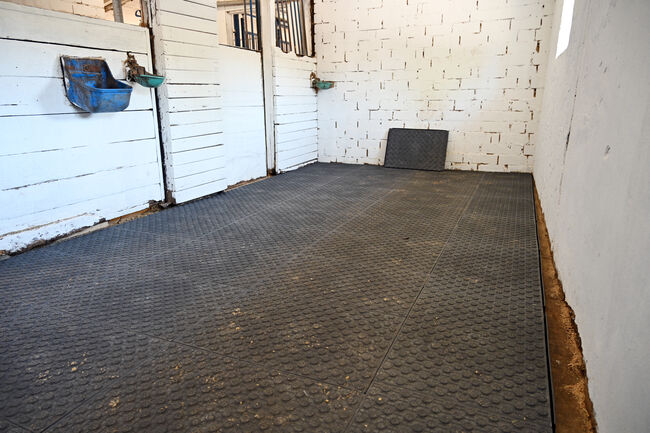 OTTO Stallmatten Smart, OTTO Stallmatten Smart, Claudio Gutierrez  (Otto Arena System ), Horse & Stable Mats, Altdorf , Image 2