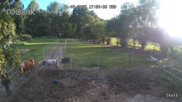 Offenstallplatt für bis zu 2 Pferde Rehe/COPD, Offenstall Rehe/COPD geeignet, Judith , Wolna stajnia, Münster, Image 3