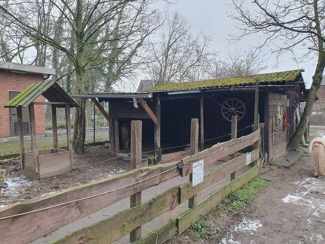 Offenstallplatz für Shetty oder Pony bis 110cm, Sil, Stabilne maty, Mönchengladbach