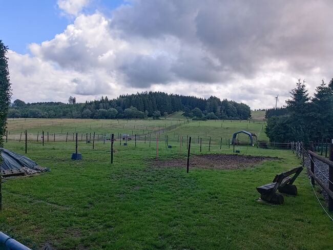 Platz im Offenstall, Iris Ritzerfeld , Wolna stajnia, Hellenthal