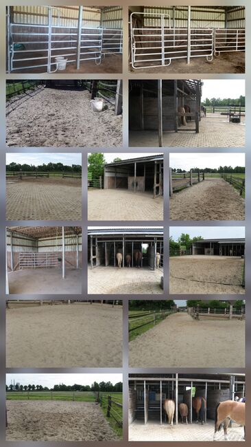 Offenstall in Datteln, Bianca , Wolna stajnia, Datteln