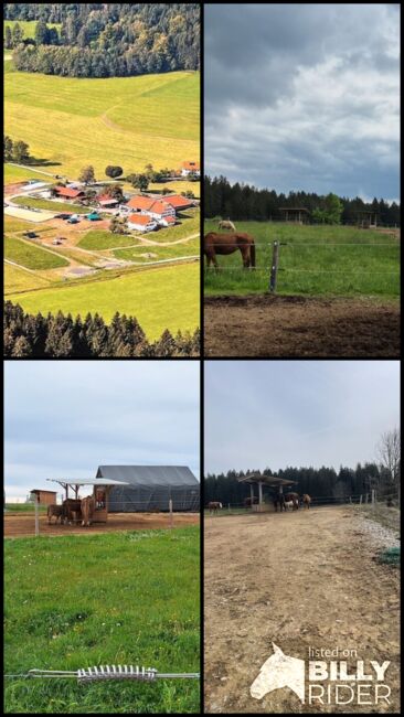 Altersweide/ Fohlenweide /Paddocktrail/Offenstall, Paddocktrail Offenstall , Magdalena Heim , Horse & Stable Mats, Isny im Allgäu, Image 8
