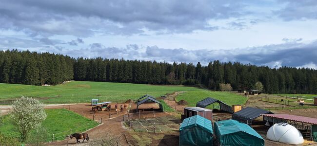Altersweide/ Fohlenweide /Paddocktrail/Offenstall, Paddocktrail Offenstall , Magdalena Heim , Horse & Stable Mats, Isny im Allgäu, Image 6