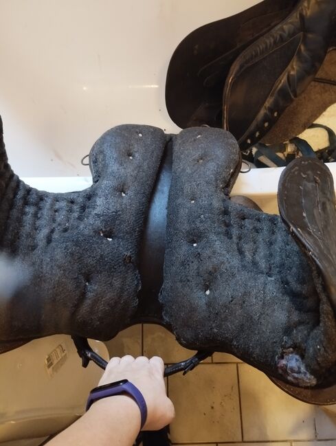 älterer Ledersattel, Melanie , All Purpose Saddle, Mühlhausen/Thüringen, Image 2