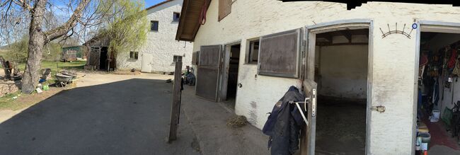 Außenboxen ab sofort frei, Lea, Horse Stables, Honings, Image 3