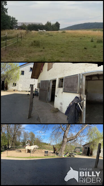 Außenboxen ab sofort frei, Lea, Horse Stables, Honings, Image 4