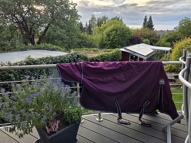 Outdoordecke von Thermomaster, Thermomaster, Carina, Horse Blankets, Sheets & Coolers, Lohfelden