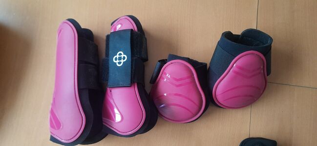 Gamaschen, 4 Horses , Julia , Tendon Boots, Elmshorn 