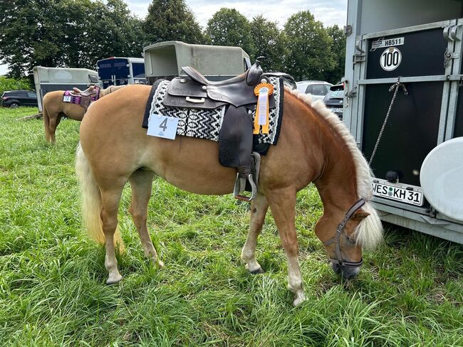 Zuverlässige und charakterstarke Partnerin, Kerstin Rehbehn (Pferdemarketing Ost), Horses For Sale, Nienburg, Image 7