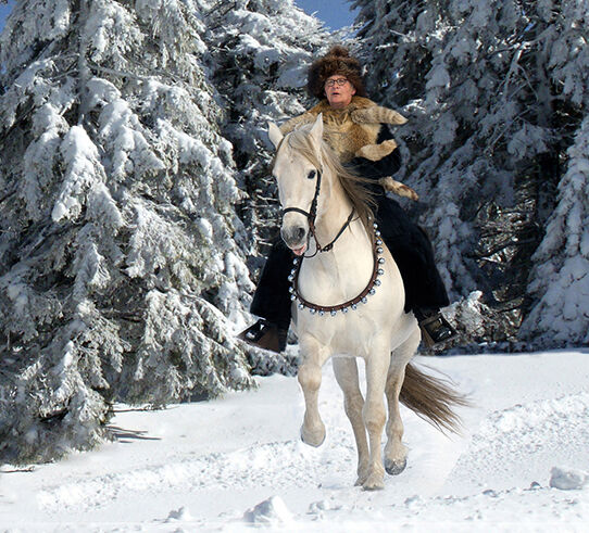 P.R.E. Hengst gekört 22 J. (Bohorquez) topfit u. kerngesund, Martina Vergo, Horses For Sale, Buchholz in der Nordheide, Image 11