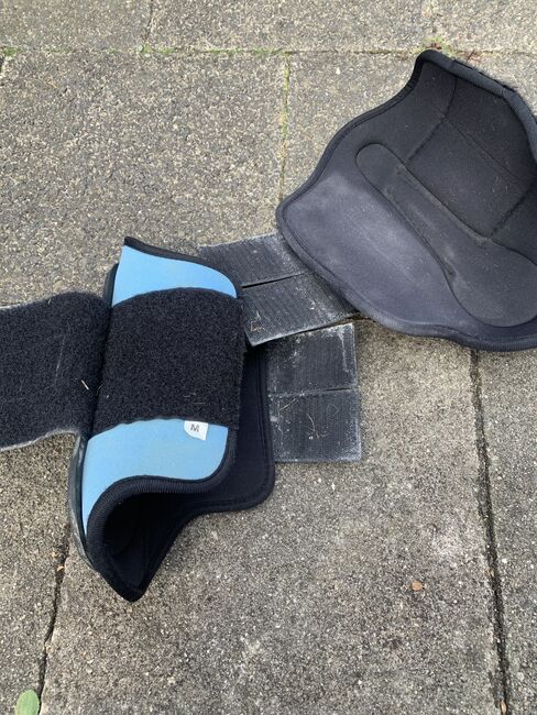 Gamaschen-Paar Gr. M für Cob/ Vollblut, Horsefriends Protect , Ann-Kathrin Hoppe, Tendon Boots, Schwalbach, Image 2