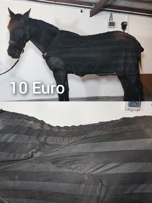 Pferde Zubehör Schabracke Felix Bühler Gamaschen Bandagen halfter decke neu Eskadron HV Polo Gebisse, Felix Bühler HV Polo Eskadron sonstige , Jassi , Dressage Pads, Zossen , Image 9