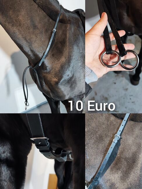 Pferde Zubehör Schabracke Felix Bühler Gamaschen Bandagen halfter decke neu Eskadron HV Polo Gebisse, Felix Bühler HV Polo Eskadron sonstige , Jassi , Dressage Pads, Zossen , Image 10