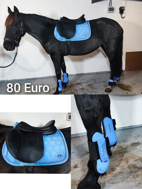 Pferde Zubehör Schabracke Felix Bühler Gamaschen Bandagen halfter decke neu Eskadron HV Polo Gebisse, Felix Bühler HV Polo Eskadron sonstige , Jassi , Dressage Pads, Zossen , Image 13