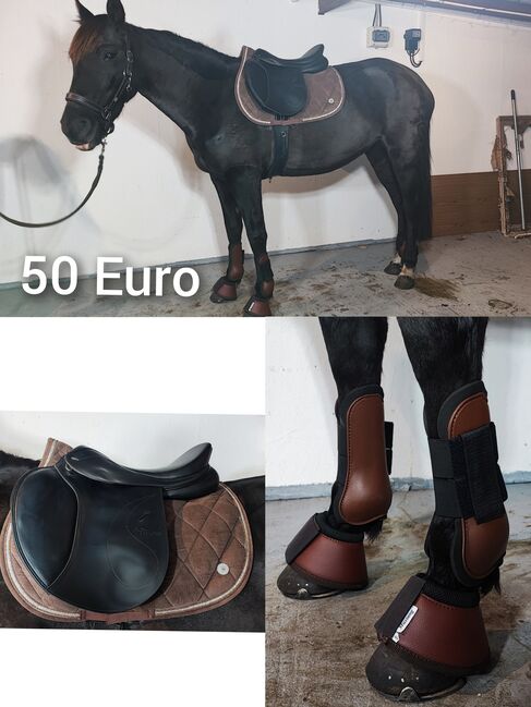 Pferde Zubehör Schabracke Felix Bühler Gamaschen Bandagen halfter decke neu Eskadron HV Polo Gebisse, Felix Bühler HV Polo Eskadron sonstige , Jassi , Dressage Pads, Zossen , Image 15