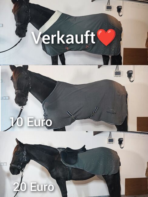 Pferde Zubehör Schabracke Felix Bühler Gamaschen Bandagen halfter decke neu Eskadron HV Polo Gebisse, Felix Bühler HV Polo Eskadron sonstige , Jassi , Dressage Pads, Zossen , Image 18