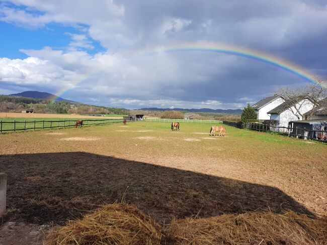 Pferdeimmobilie- Bauernhof- landwirtschaftliche Hofstelle, Manu Bee, Equestrian Properties, Eichenbach, Image 12