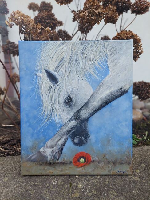 Pferd und Mohnblume Oelgemaelde, Ola, Horses For Sale, Dallikon