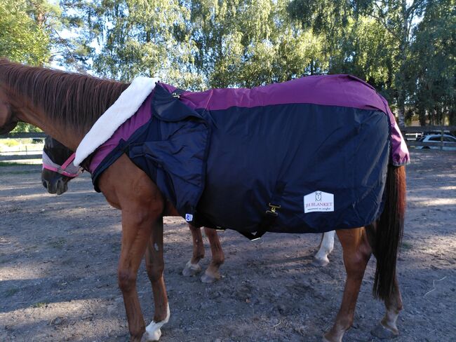 Pferde Outdoor Winterdecke/Führanlagendecke/NEU, Abbie L., Horse Blankets, Sheets & Coolers, Walzbachtal, Image 7