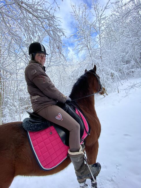Herzenspferd sucht neue Familie, Steffi van Chi, Horses For Sale, Obertrum am See, Image 10