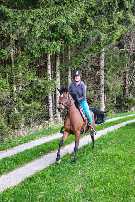 Herzenspferd sucht neue Familie, Steffi van Chi, Horses For Sale, Obertrum am See