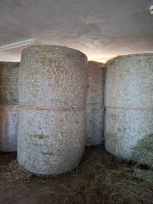 Pferde Heu, Monika , Hay & Straw, Engerwitzdorf, Image 2