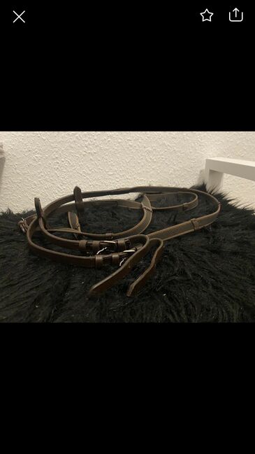 Pferde Trense, Unbekannt , Clara Beckmann, Bridles & Headstalls, Potsdam , Image 2