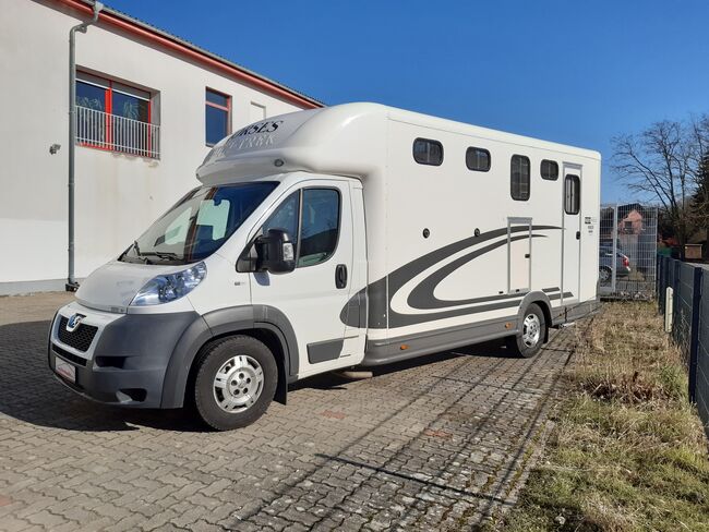 Pferdetransporter mit Wohnkabine, Peugeot Equi Trek  Victory- 2er Pferdetransporter, Stefanie Jainda, Travel Equipment, Luckenwalde, Image 7