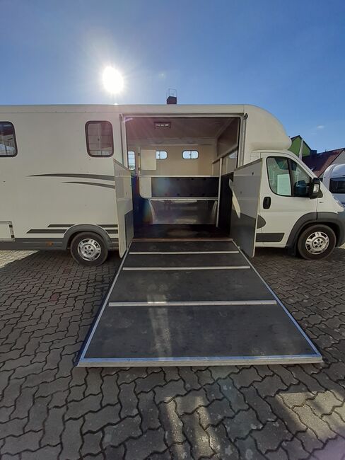 Pferdetransporter mit Wohnkabine, Peugeot Equi Trek  Victory- 2er Pferdetransporter, Stefanie Jainda, Travel Equipment, Luckenwalde