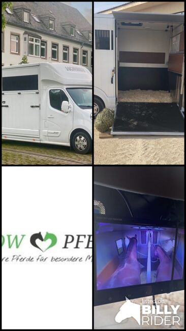 Pferdetransporter Verleih 2er Pferde LKW Renault Roelofsen Pferde LKW Sprinter, Renault Roelofsen Pferde Sprinter Renault Master mit Roelofsen Aufbau (Hengstausführung), WOW Pferd  (WOW Pferd), Transport, Bayern - Attenkirchen, Image 6