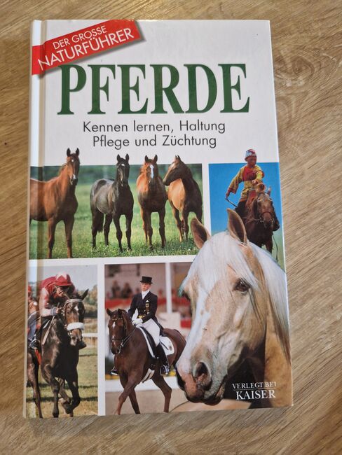 Pferdebücher, Nadine , Books, Lindau , Image 9
