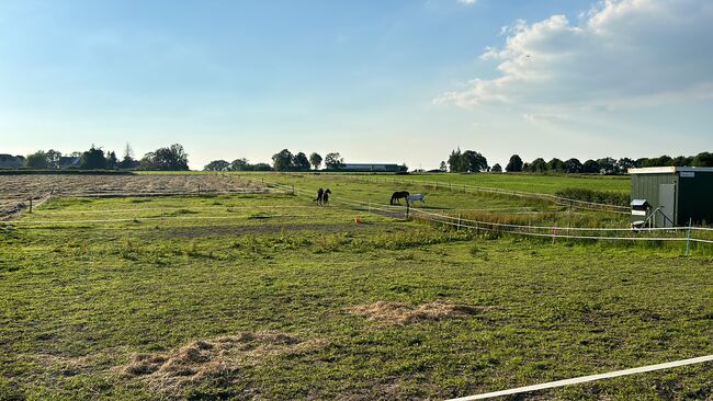Pferdebox Stellplatz Aktivstall Allergiker, Keppens , Horse Stables, Aachen, Image 6