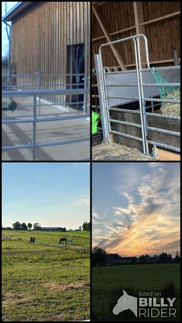 Pferdebox Stellplatz Aktivstall Allergiker, Keppens , Horse Stables, Aachen, Image 7