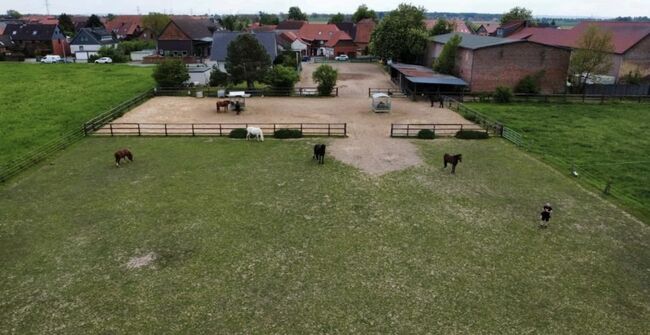 Pferdebox/Stallplatz frei, Oppermann , Horse Stables, Vechelde