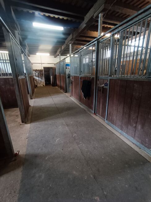 Pferdeboxen Boxenelemente, Zara Dogan, Horse Stables, GSCHWEND