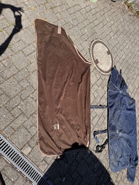 Pferdedecken, laura, Horse Blankets, Sheets & Coolers, Bern 65 SBB, Image 3