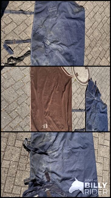 Pferdedecken, laura, Horse Blankets, Sheets & Coolers, Bern 65 SBB, Image 4