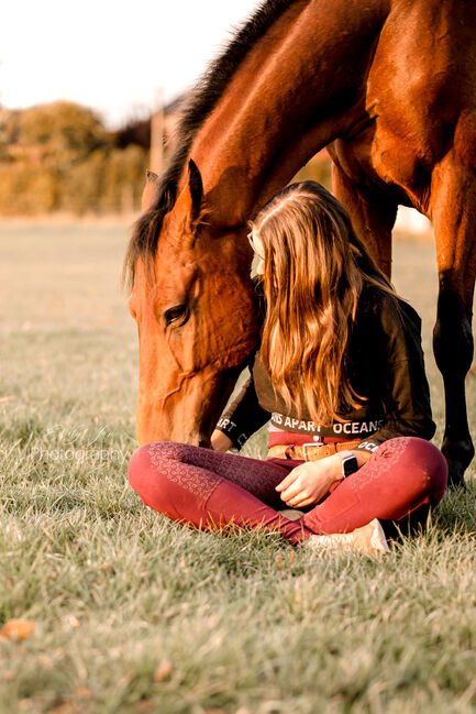 Biete Pferdefotografie, Emely , Horse photography, Billerbeck, Image 11