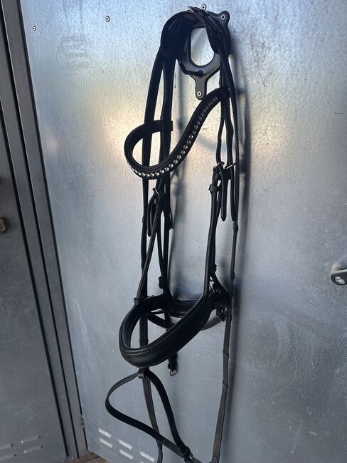 Pferdezaum von Löwe, Löwe, Thalia, Bridles & Headstalls, Wangen b. Dübendorf