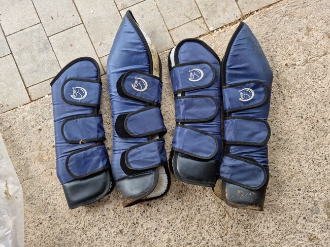 Transportgamaschen ridersdeal Warmblut, Ridersdeal, Jasmin Hafner, Tendon Boots, Schwabach