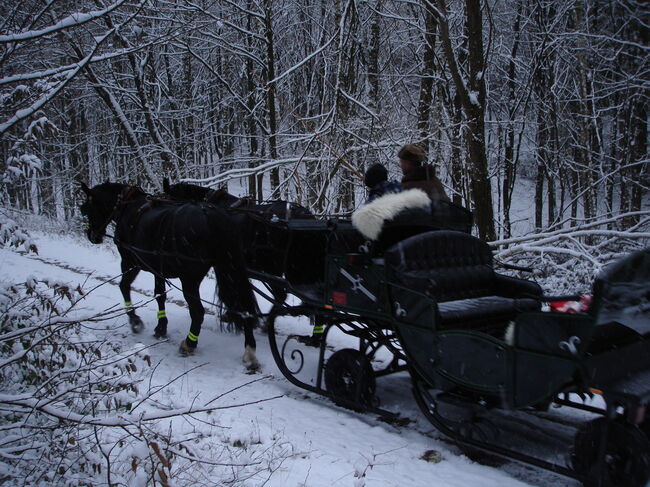 Pferdeschlitten, Kombischlitten für Großpferde, Kombischlitten 6 Personen + 2 Fahrer, Kekert Jürgen, Carriages, Großenlüder, Image 2