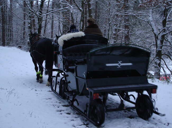 Pferdeschlitten, Kombischlitten für Großpferde, Kombischlitten 6 Personen + 2 Fahrer, Kekert Jürgen, Carriages, Großenlüder, Image 13