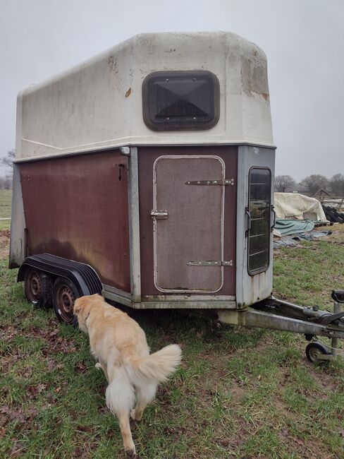 Pferdehänger, 2 Pferde, leicht, TÜV bis 10/25, VARIANT, Jutta Kanzler, Horse Trailers, Lasbek-Gut, Image 2