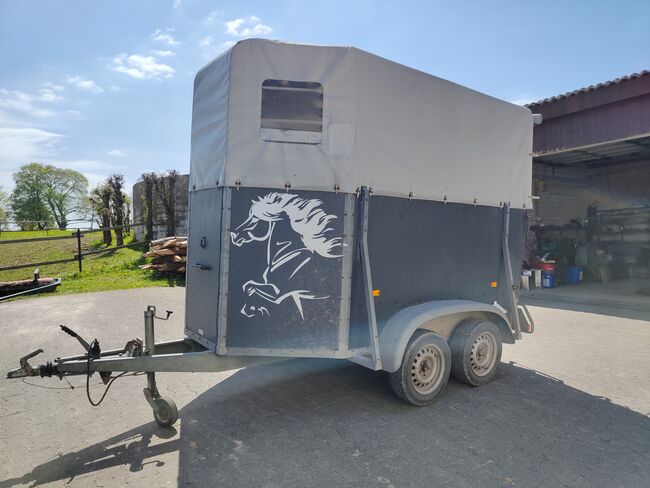 Pferdeanhänger 2er, Nadine , Horse Trailers, Bad Wünnenberg, Image 5