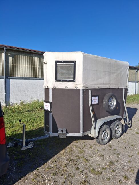 Pferdeanhänger, Böckmann Anhänger, Schwechel, Horse Trailers, Kraichtal, Image 9