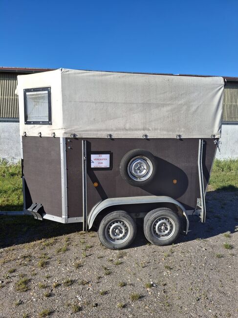 Pferdeanhänger, Böckmann Anhänger, Schwechel, Horse Trailers, Kraichtal, Image 6