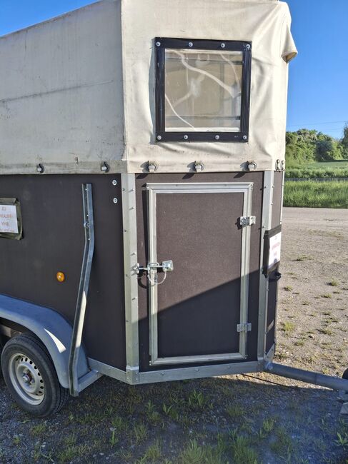 Pferdeanhänger, Böckmann Anhänger, Schwechel, Horse Trailers, Kraichtal, Image 8