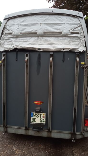 Pferdeanhänger, Böckmann Duo Esprit , Hanneliese Claus , Horse Trailers, Westerstede , Image 4
