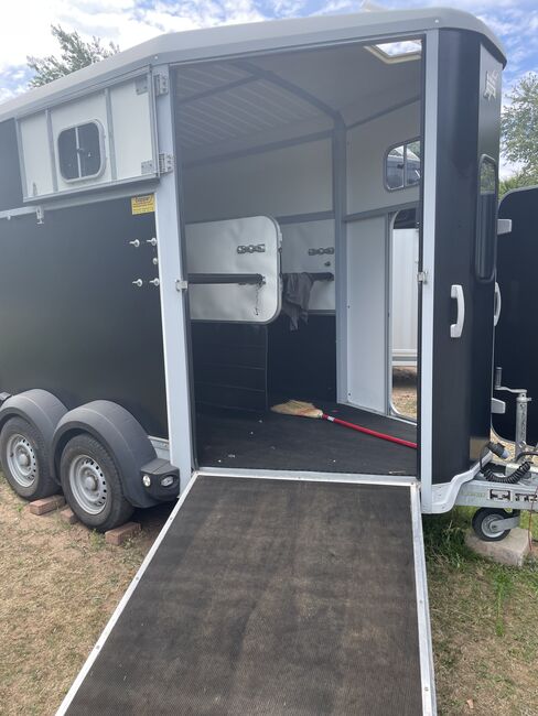 Pferdeanhänger, Ifor Williams  HB 511, Krafek Michael, Horse Trailers, Saarbrücken