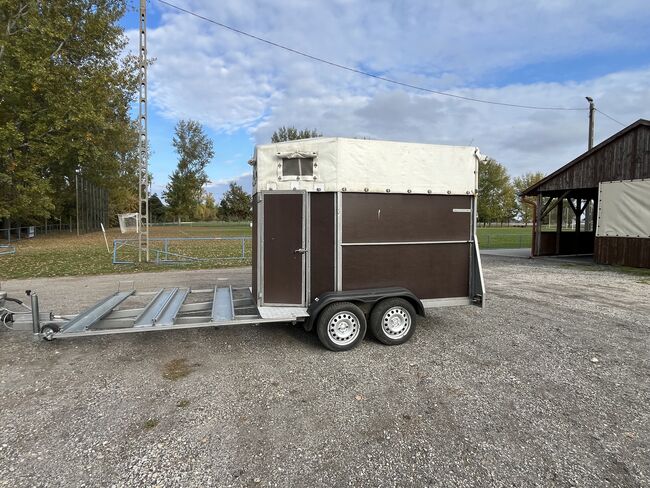 Pferdeanhänger, KICSINY KARANCS, Kristóf Nyerges, Horse Trailers, Kapuvár